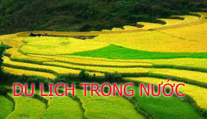 dịch vụ hương nam